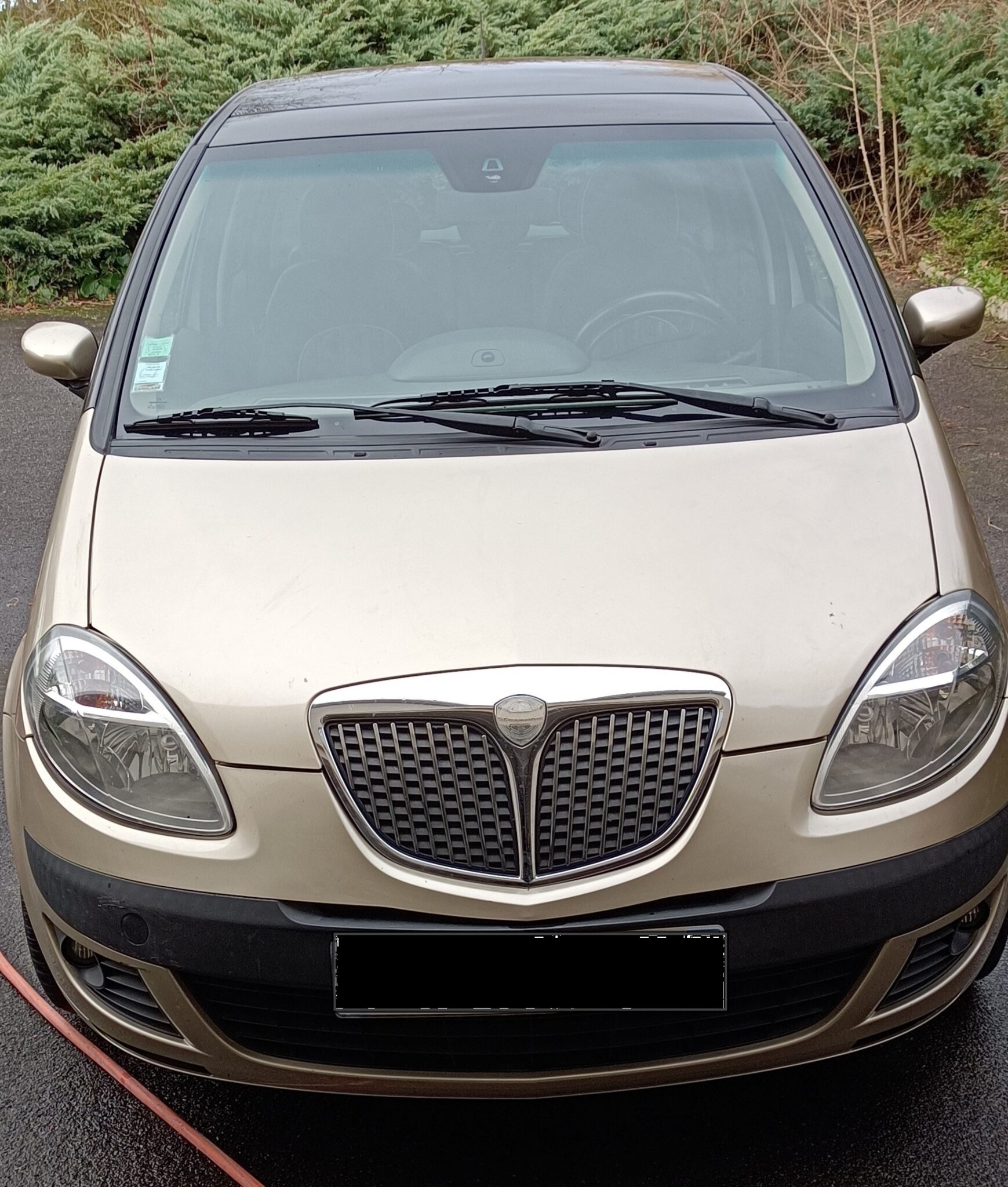 LANCIA MUSA 2007