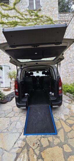 PEUGEOT RIFTER 2020