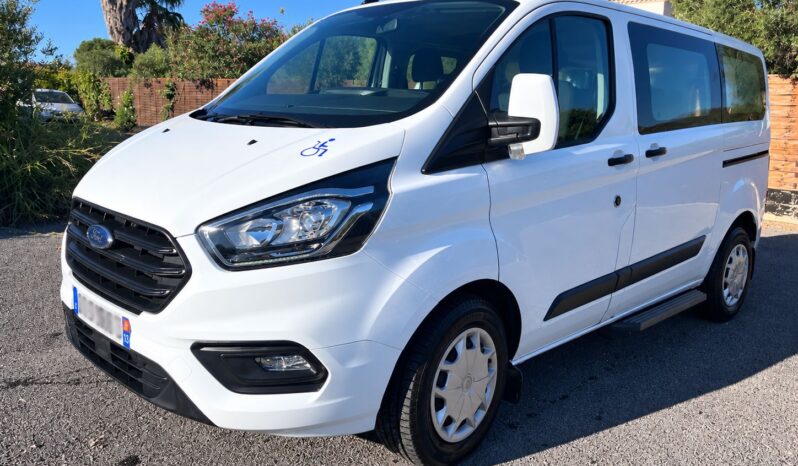 fourgon ford blanc adapté pmr