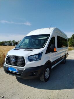 TRANSIT 2019 complet